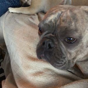 Meet your Posher, Terri